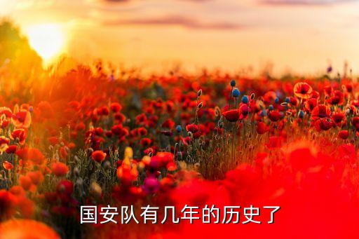 北京足球隊高大衛(wèi)