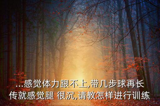 ...感覺(jué)體力跟不上,帶幾步球再長(zhǎng)傳就感覺(jué)腿 很沉,請(qǐng)教怎樣進(jìn)行訓(xùn)練