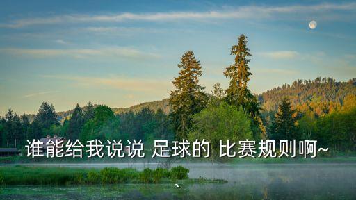 誰能給我說說 足球的 比賽規(guī)則啊~`