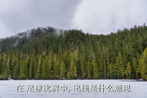 在 足球比賽中, 出線是什么意思