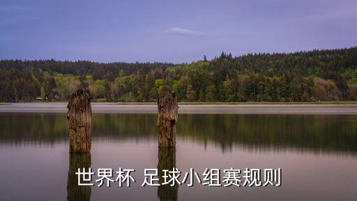 足球比賽簽到表
