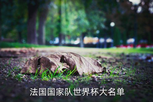 給我最新的法國足球隊陣容,法國足球隊2022世界杯陣容