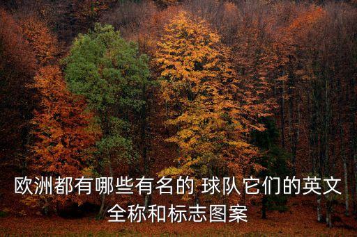 法甲足球球隊隊徽,足球隊徽是一把劍是哪支球隊
