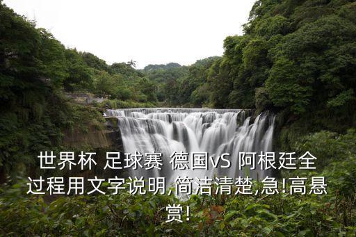 世界杯 足球賽 德國(guó)vS 阿根廷全過程用文字說明,簡(jiǎn)潔清楚,急!高懸賞!