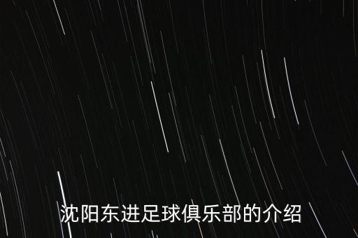  沈陽東進足球俱樂部的介紹