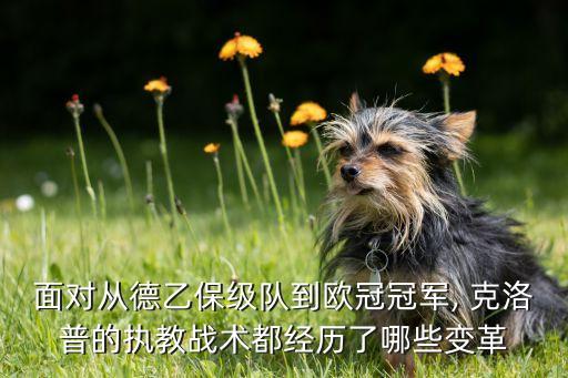 面對從德乙保級隊到歐冠冠軍, 克洛普的執(zhí)教戰(zhàn)術(shù)都經(jīng)歷了哪些變革