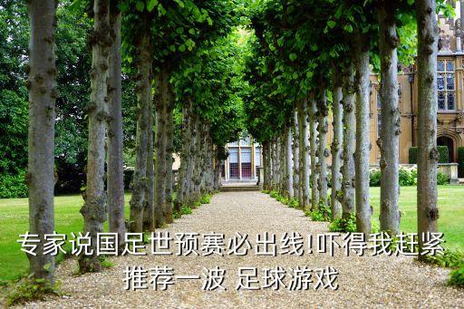 專(zhuān)家說(shuō)國(guó)足世預(yù)賽必出線!嚇得我趕緊推薦一波 足球游戲