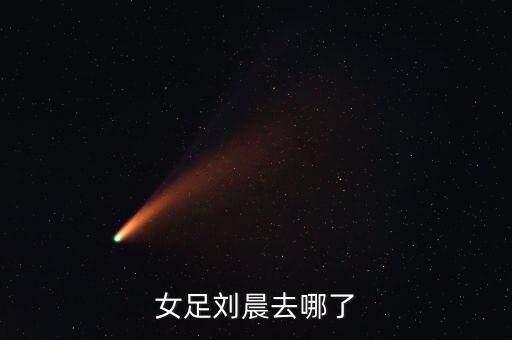 女足劉晨去哪了