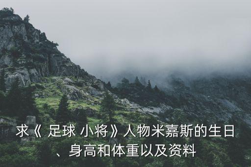 足球小將前鋒
