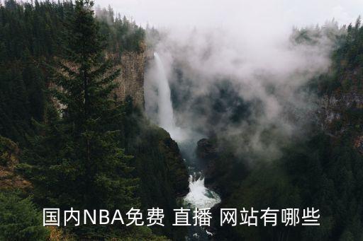 國內NBA免費 直播 網(wǎng)站有哪些