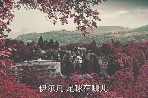 伊爾凡 足球在哪兒