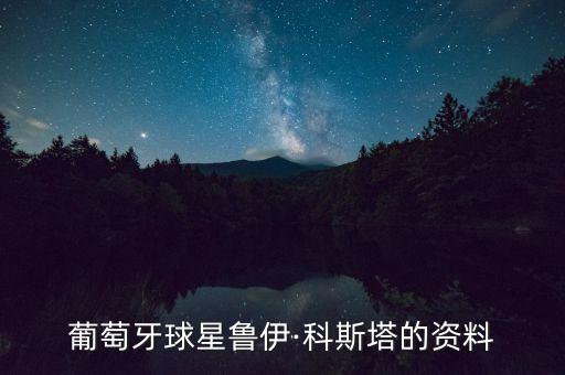 costa 足球