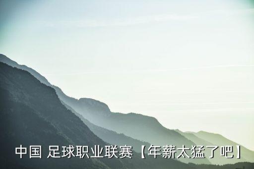 中國(guó) 足球職業(yè)聯(lián)賽【年薪太猛了吧】