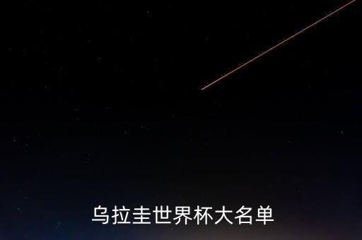  烏拉圭世界杯大名單
