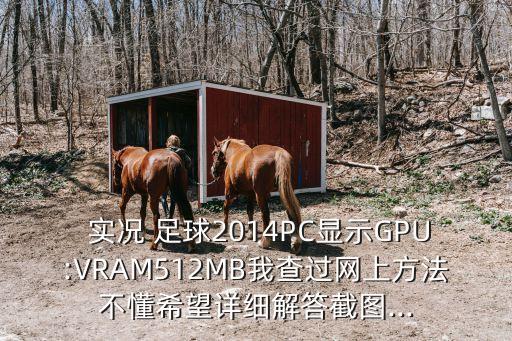  實(shí)況 足球2014PC顯示GPU:VRAM512MB我查過(guò)網(wǎng)上方法不懂希望詳細解答截圖...