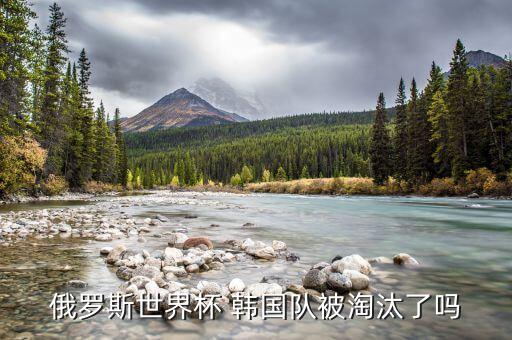 韓國vs德國足球,西班牙vs德國足球視頻