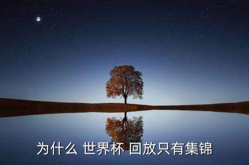 為什么 世界杯 回放只有集錦