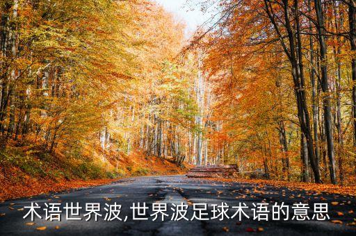 足球術(shù)語世界波,世界波足球術(shù)語的意思