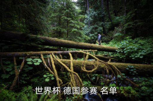 世界杯 德國參賽 名單