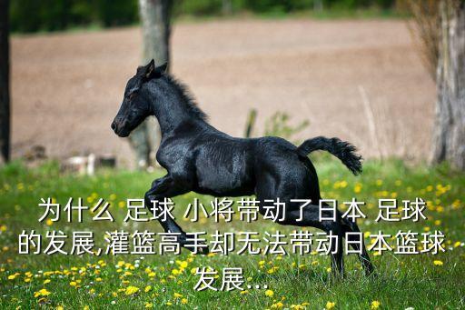 為什么 足球 小將帶動了日本 足球的發(fā)展,灌籃高手卻無法帶動日本籃球發(fā)展...