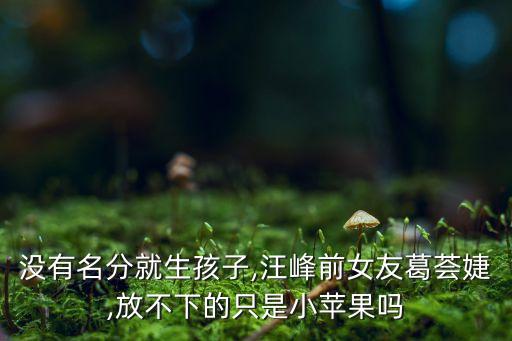 沒(méi)有名分就生孩子,汪峰前女友葛薈婕,放不下的只是小蘋(píng)果嗎