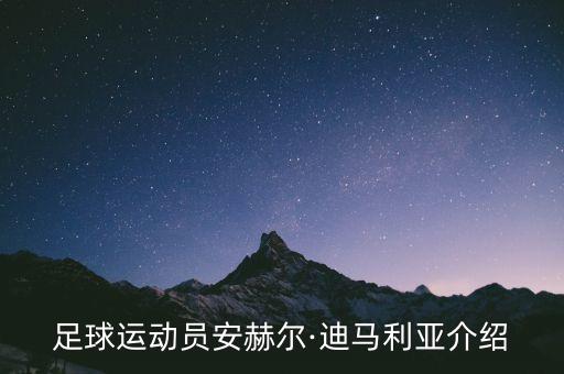 足球運(yùn)動(dòng)員安赫爾·迪馬利亞介紹