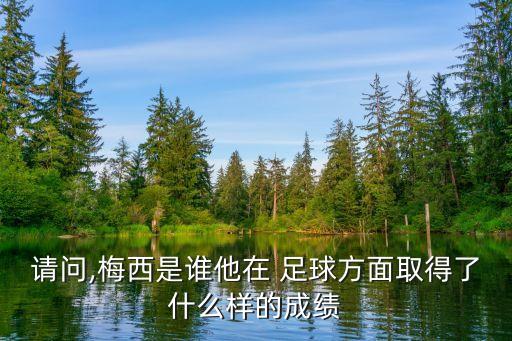 請問,梅西是誰他在 足球方面取得了什么樣的成績
