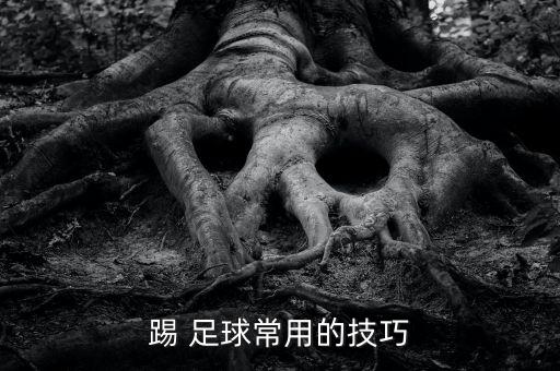 踢 足球常用的技巧