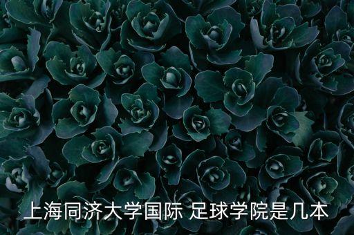 上海同濟(jì)大學(xué)國(guó)際 足球?qū)W院是幾本