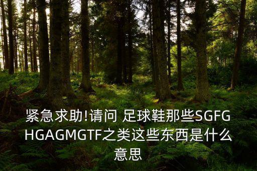 緊急求助!請問 足球鞋那些SGFGHGAGMGTF之類這些東西是什么意思