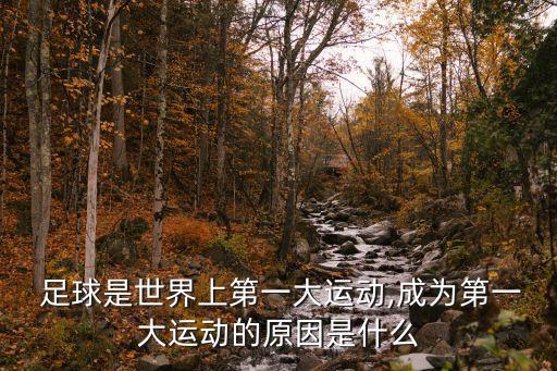  足球是世界上第一大運(yùn)動(dòng),成為第一大運(yùn)動(dòng)的原因是什么