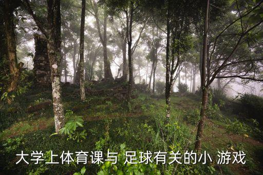 大學(xué)上體育課與 足球有關(guān)的小 游戲