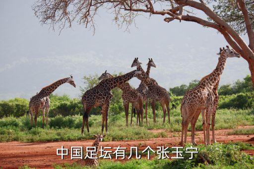 遼寧 足球隊(duì)  新疆球員,國(guó)家足球隊(duì)新疆籍球員