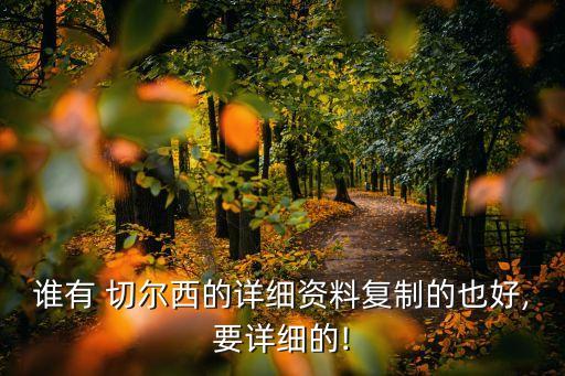 誰有 切爾西的詳細資料復(fù)制的也好,要詳細的!
