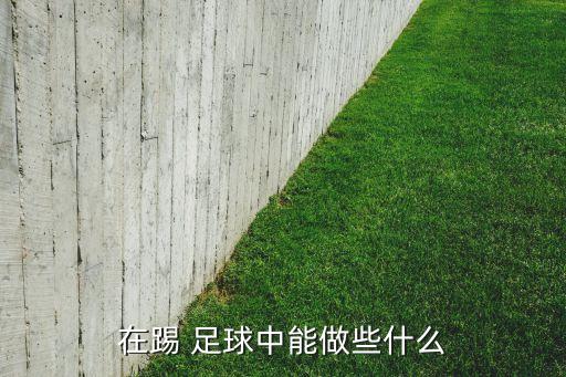 在踢 足球中能做些什么