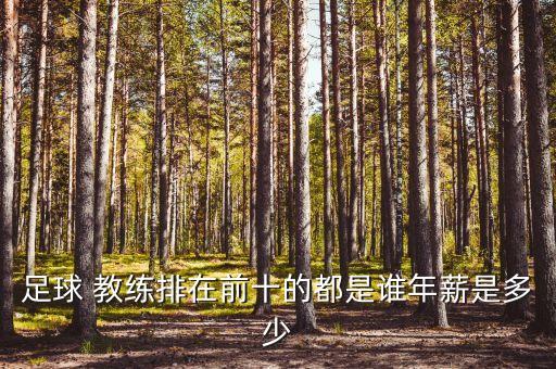 世界足球隊(duì)教練排名,克羅地亞足球隊(duì)排名世界多少名