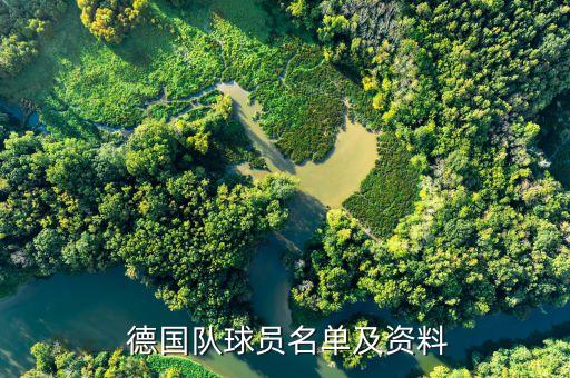 德國隊球員名單及資料