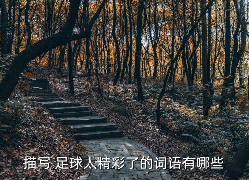夸贊足球