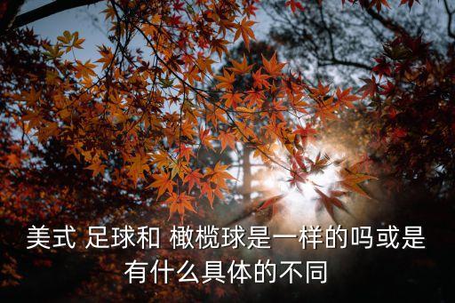 美式 足球和 橄欖球是一樣的嗎或是有什么具體的不同