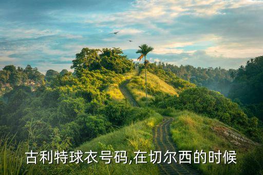 主角在荷蘭足球,阿根廷和荷蘭足球誰強