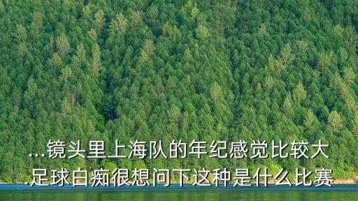 ...鏡頭里上海隊的年紀感覺(jué)比較大.足球白癡很想問(wèn)下這種是什么比賽