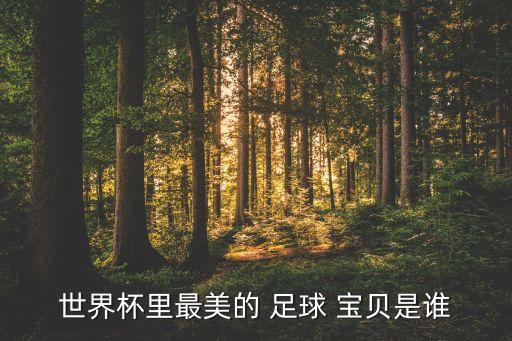 世界杯里最美的 足球 寶貝是誰(shuí)
