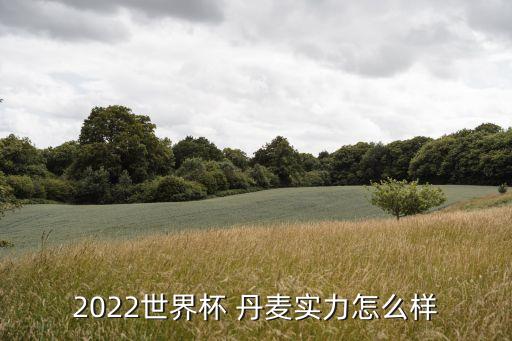 2022世界杯 丹麥實力怎么樣