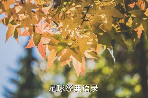 足球經(jīng)典語(yǔ)錄