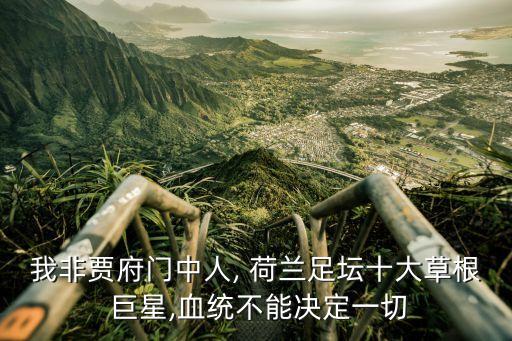 我非賈府門中人, 荷蘭足壇十大草根 巨星,血統(tǒng)不能決定一切
