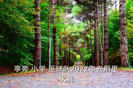 綠城小學足球隊,綠城足球隊總經理是誰