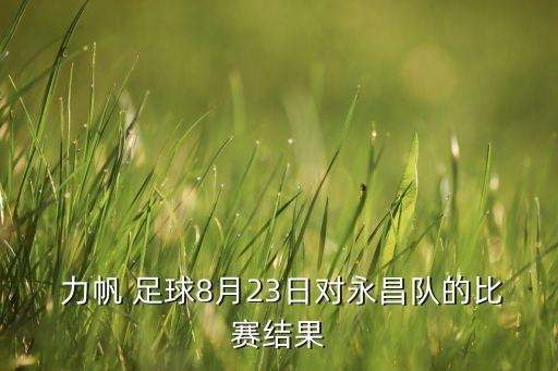 重慶力帆足球套票