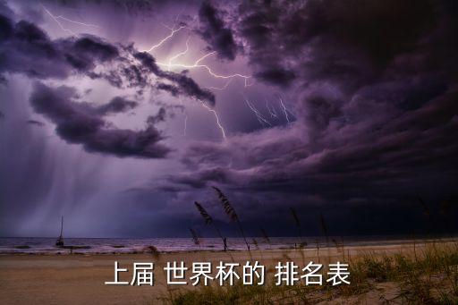上屆 世界杯的 排名表