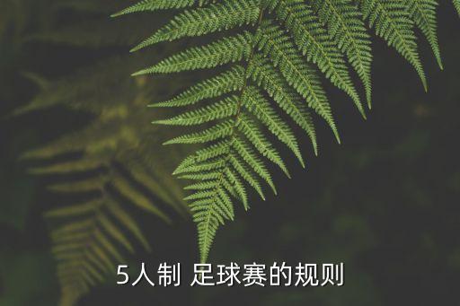5人制 足球賽的規(guī)則