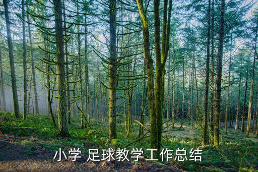 小學 足球教學工作總結(jié)